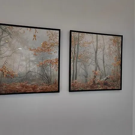 O Meo Refuxio バレイロス