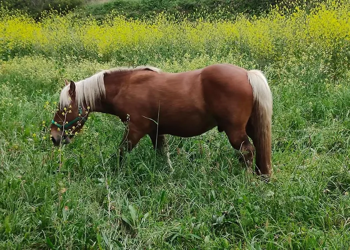 O Meo Refuxio Apartmán